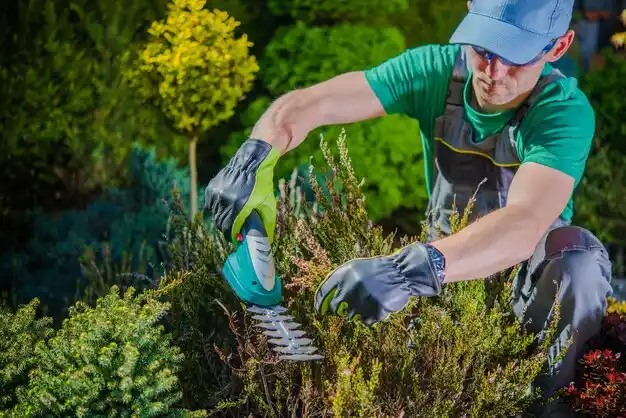 landscaping services West End